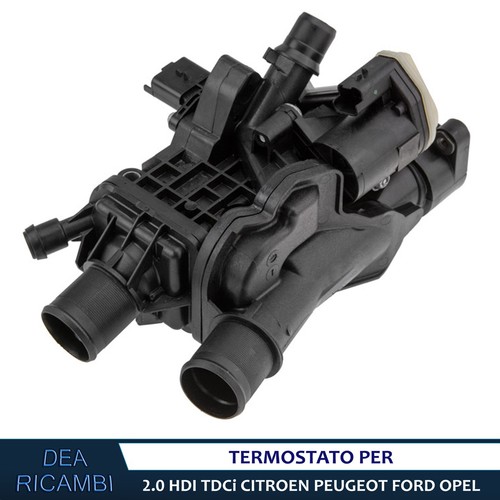 Termostato per ford focus - termostato,