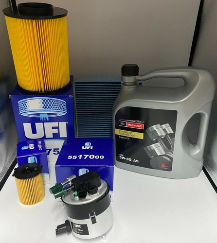 Kit tagliando focus max 6 - focus,